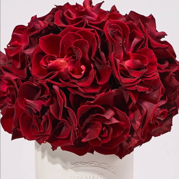 Meet your Posher, Mabel - Picture 2 of 5